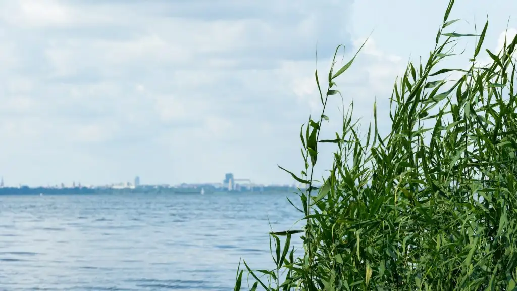 Blick auf viel Wasser und üppiges Grün in der Region um Stettin, ideal für Ausflüge in die Natur.