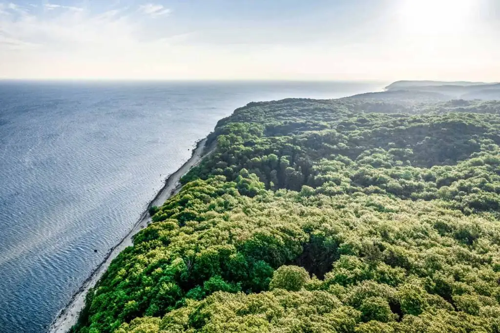 Blick auf den Nationalpark Wollin