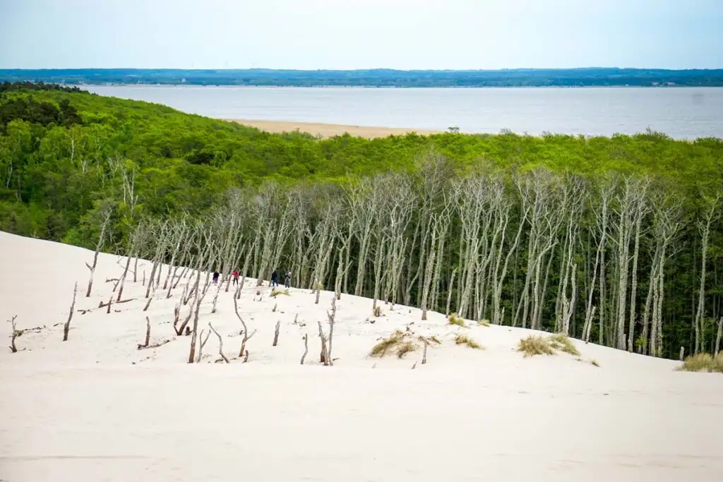 Blick von der Düne auf den Łebsko-See im Slowinski-Nationalpark