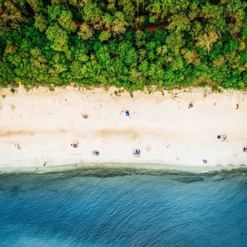 Ein faszinierender Blick auf die polnische Ostseeküste mit Wald, Strand und Meer – entdecke eine Ferienwohnung inmitten dieser Naturidylle.