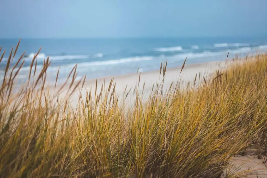 Ein idyllischer Blick auf die Dünen mit Gräsern, den feinen Sandstrand und die polnische Ostsee – perfekte Umgebung für deine Ferienwohnung am Meer.