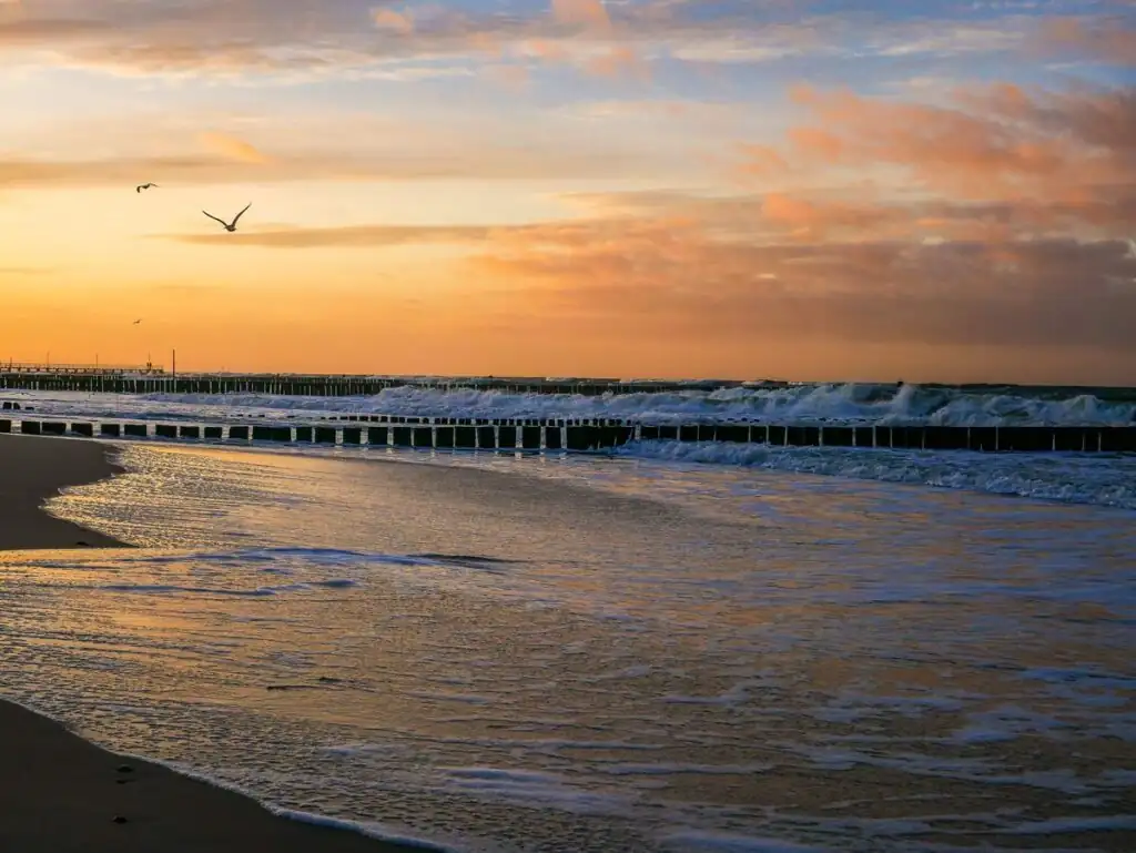 Sonnenuntergang am Strand von Ustronie Morskie mit Buhnen, Wellen und einer Möwe im Flug.