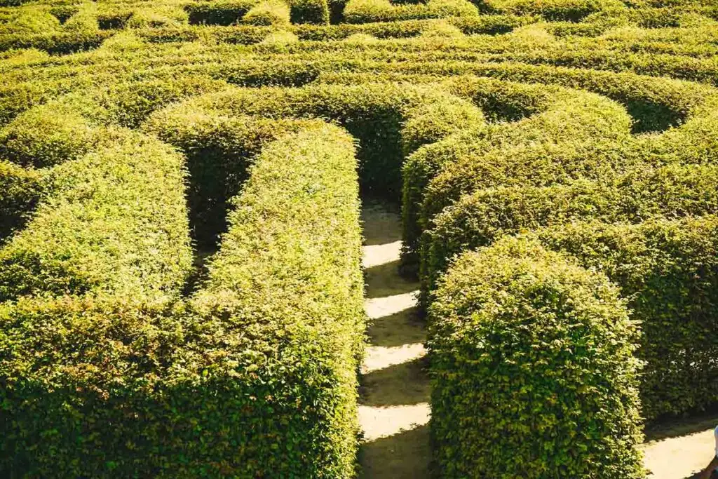 Luftaufnahme des Heckenlabyrinths Hortulus Spectabilis in Polen mit grünen Wegen und zentralem Aussichtsturm.