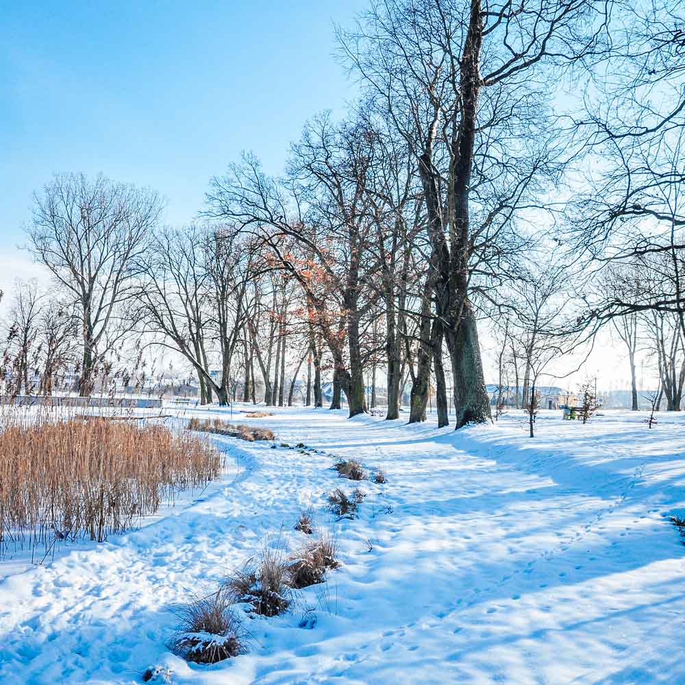 Verschneiter Park an der Polnischen Ostsee im Winter – ideal für ruhige Spaziergänge rund um Silvester