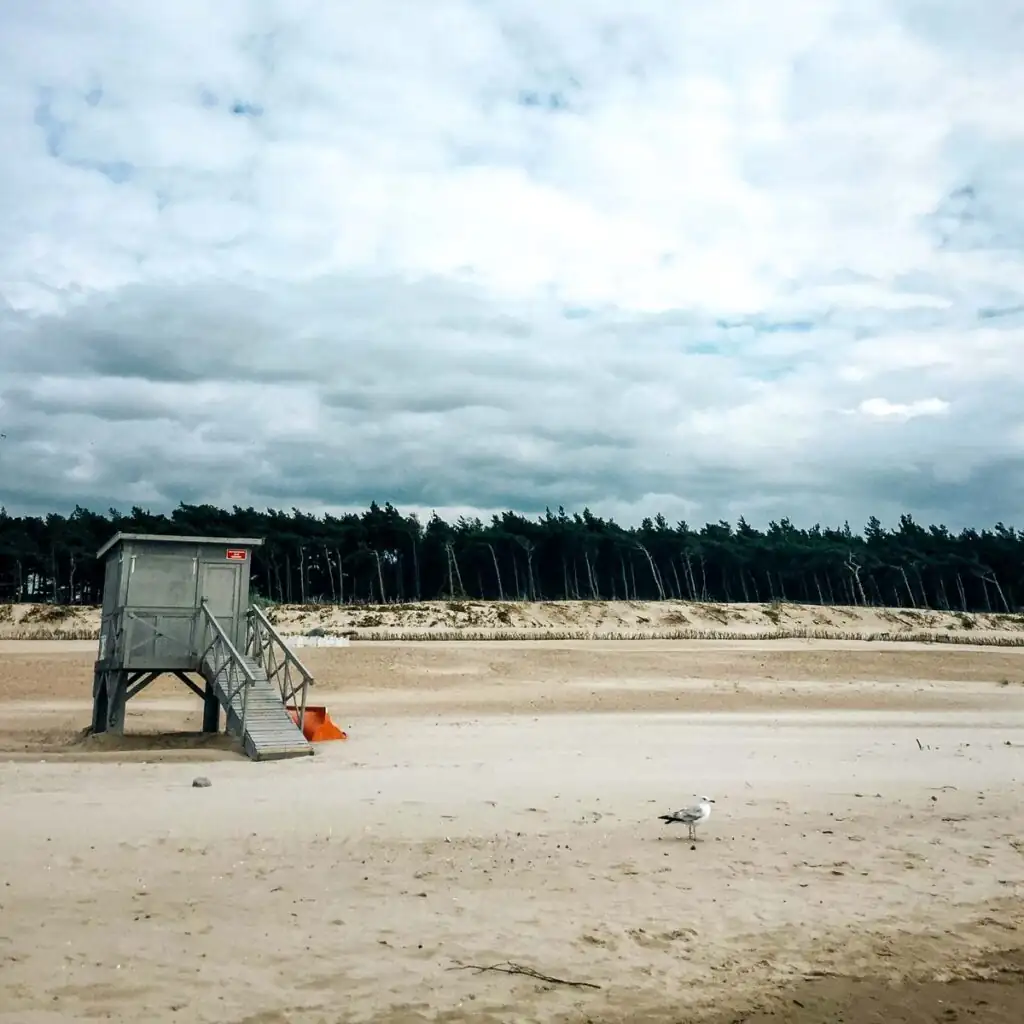 Strand von Rowy mit Kiefernwald im Hintergrund – Natur und Erholung an der polnischen Ostsee
