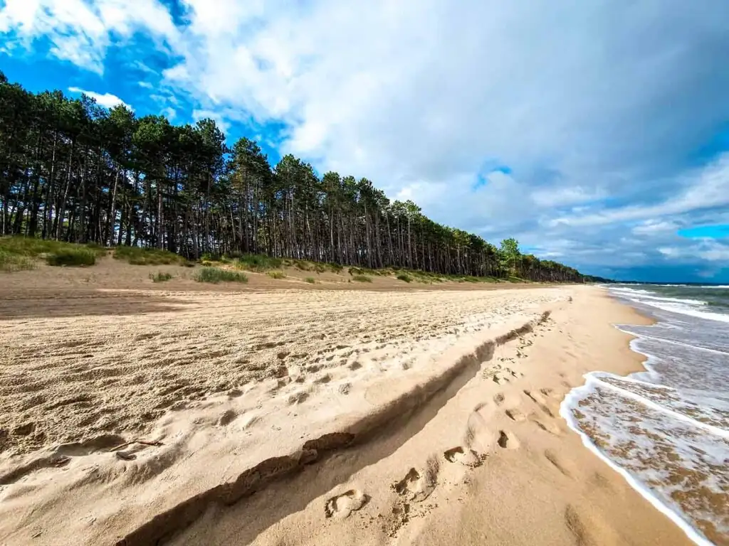 Blick auf den Strand von Mielno-Unieście mit Ostseebucht, Sandfläche und angrenzendem Küstenwald