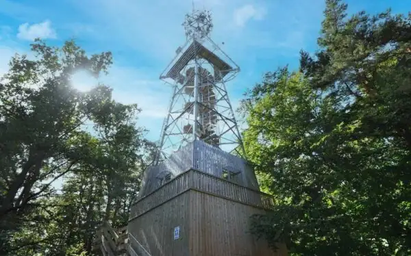 Der bewaldete Hügel Rowokół im Słowiński-Nationalpark mit Aussichtsturm, umgeben von Küstenlandschaft und Seen
