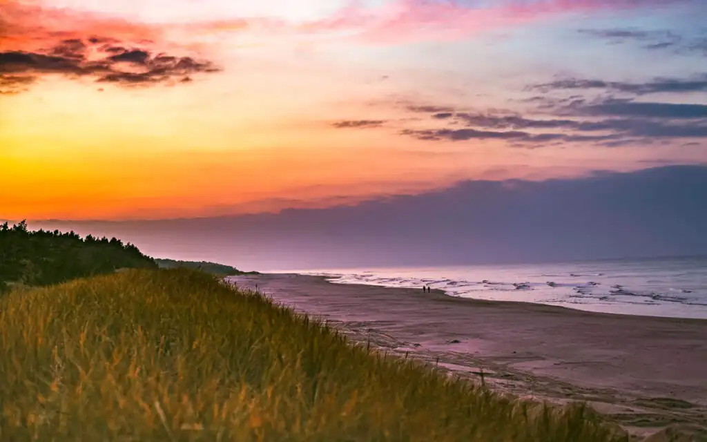 Weitläufiger Strand an der Frischen Nehrung in Polen bei Sonnenuntergang, mit Dünen, Kiefern und Blick auf die Ostsee
